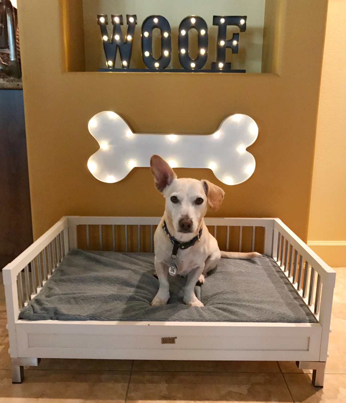 My New Manhattan Raised Dog Bed