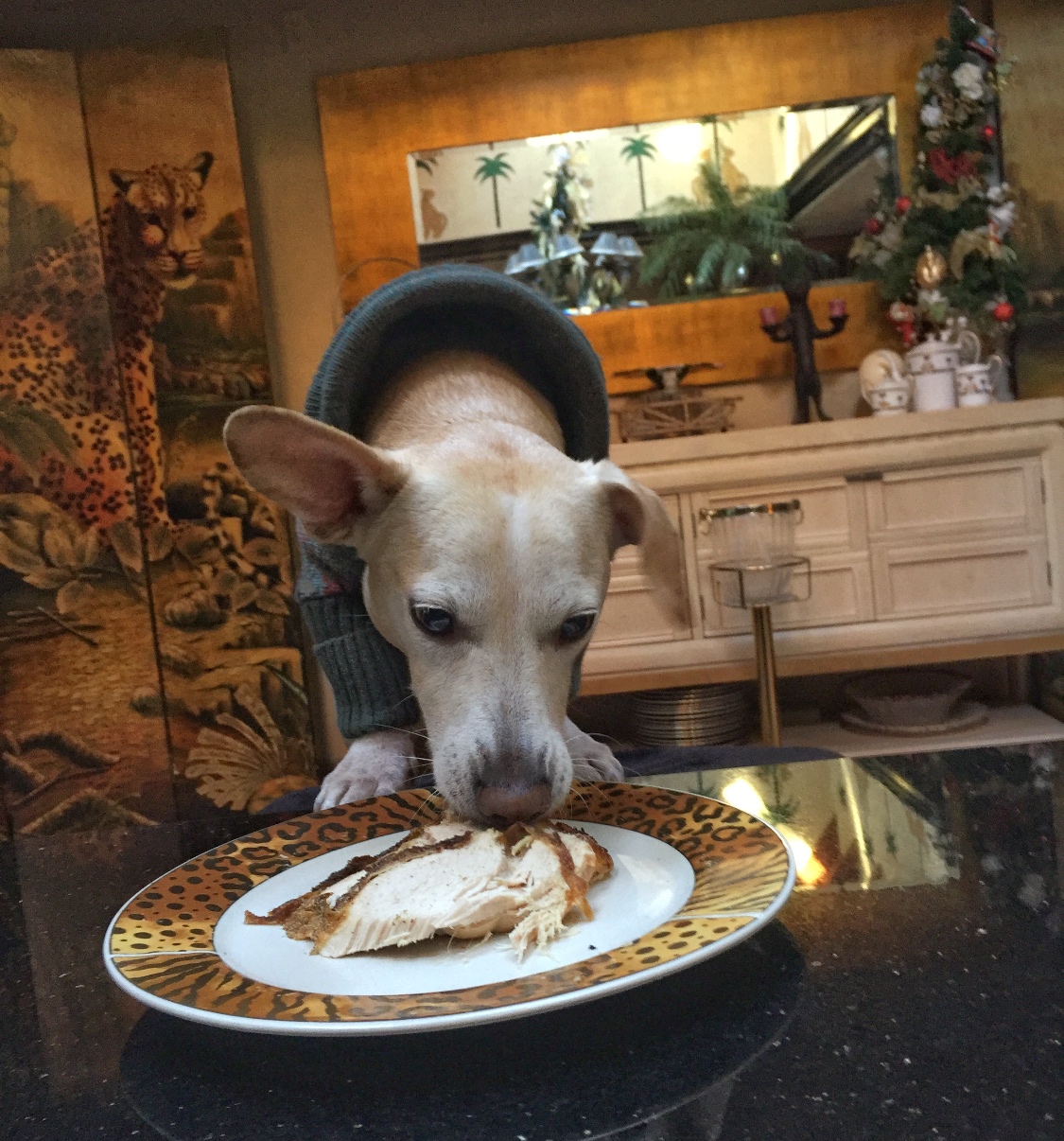 Tips and Tricks for a Dog-Friendly Thanksgiving